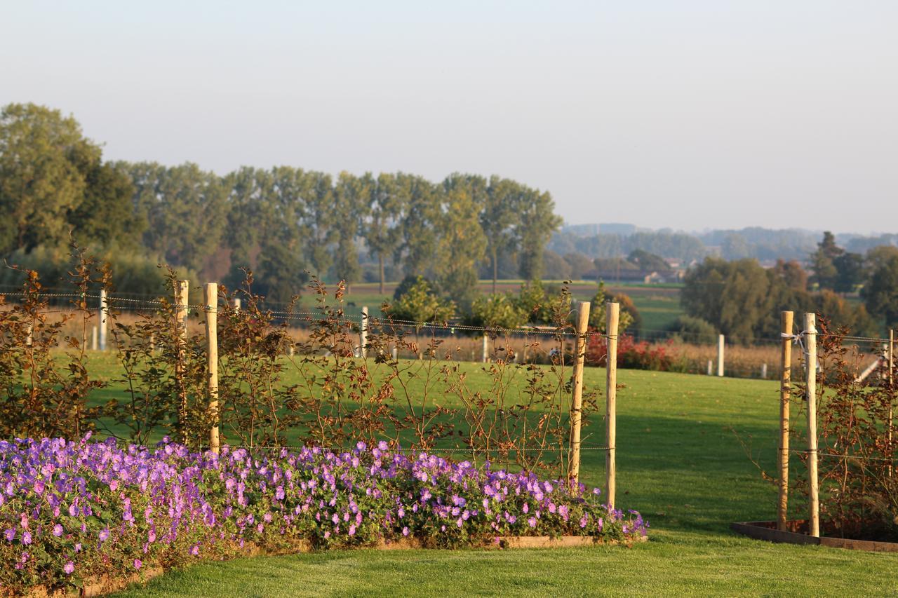 Cafcauter Bed & Breakfast Sint-Pieters-Kapelle  Exterior foto